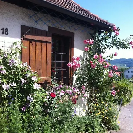 Lejlighed Micro-apartment In Seenaehe Fusslaeufig Zum See:)) *